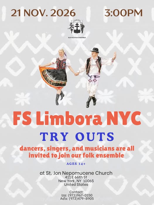 Konkurz do FS Limbora New York